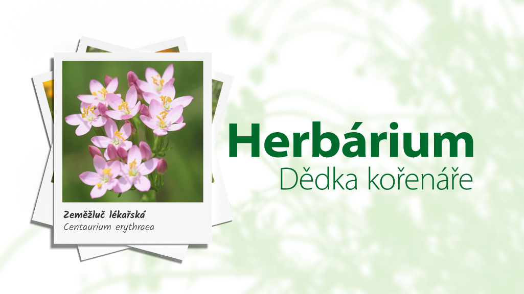 herbarium_zemezluc